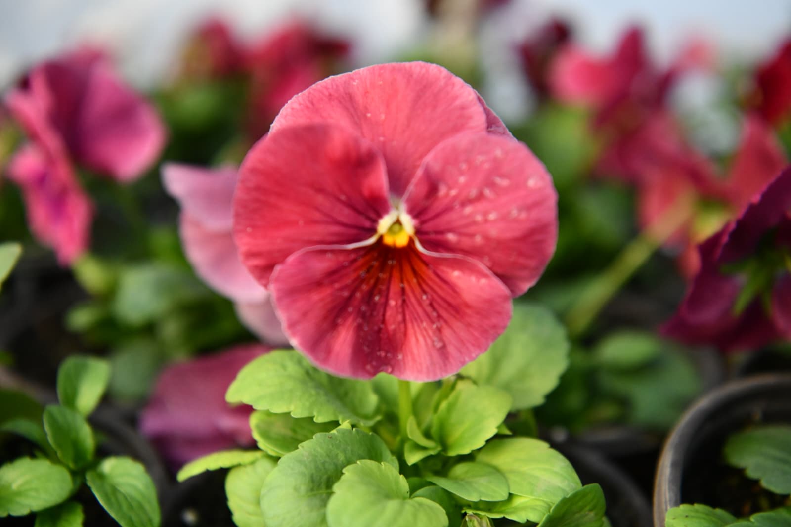 Çalışma Fotoğrafı 10