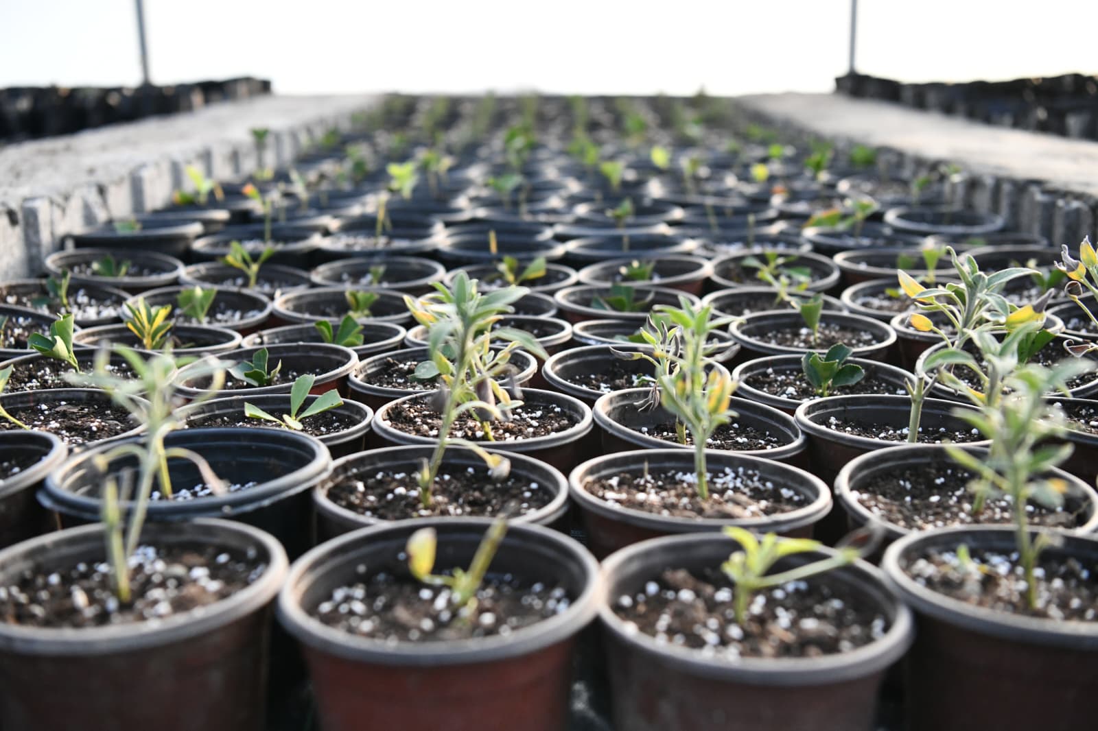 Çalışma Fotoğrafı 12