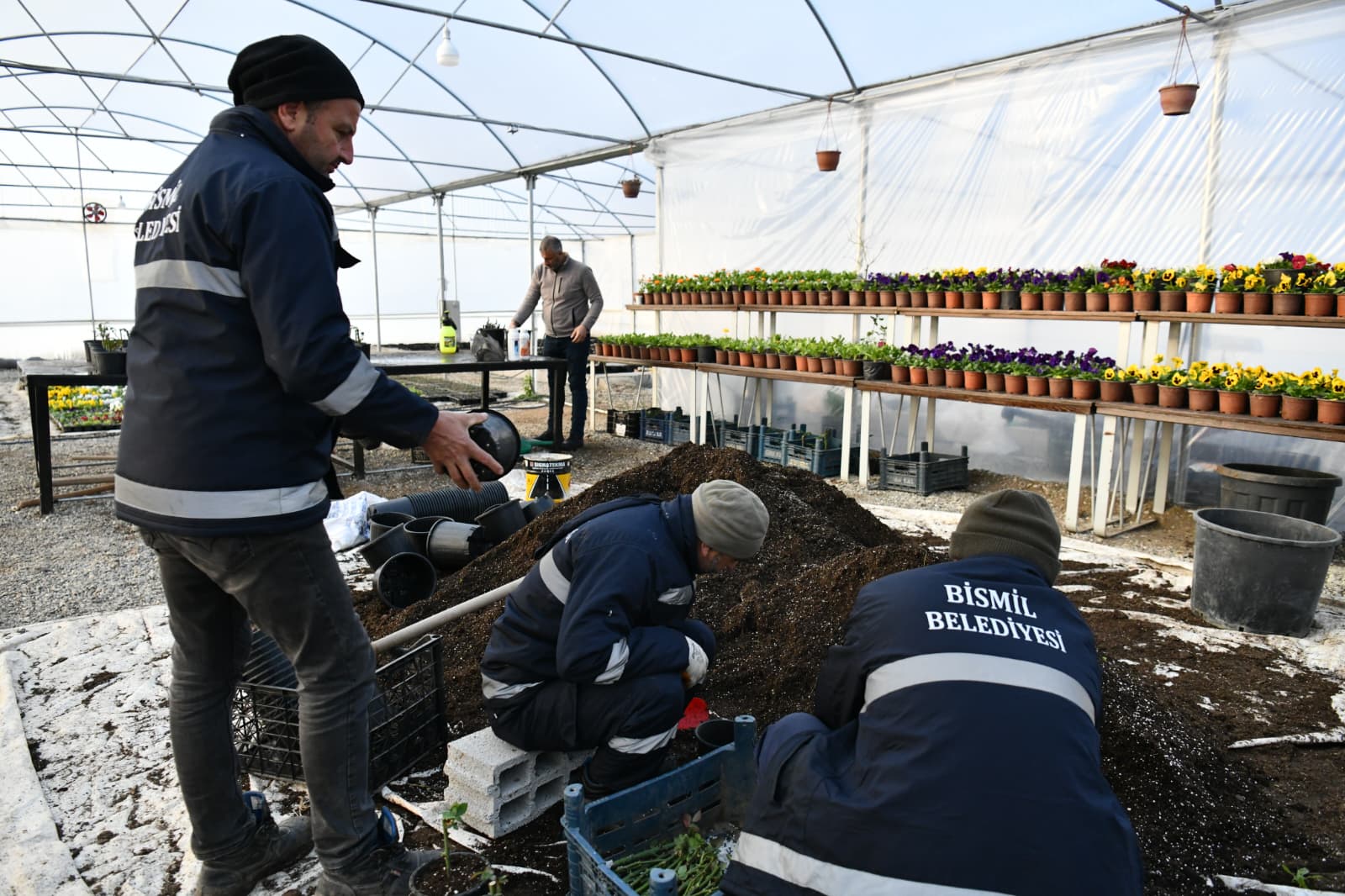 Çalışma Fotoğrafı 5