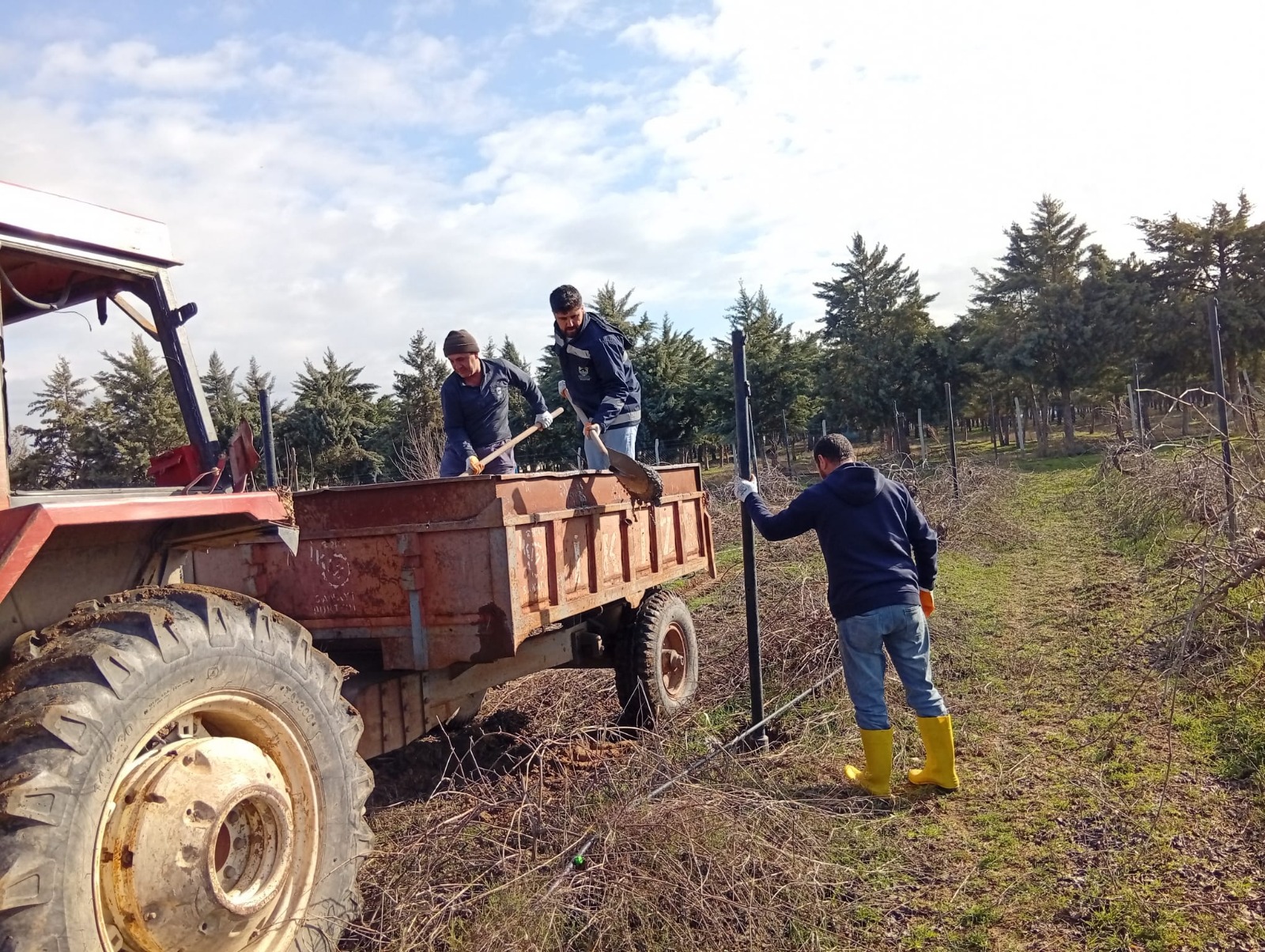 Çalışma Fotoğrafı 8