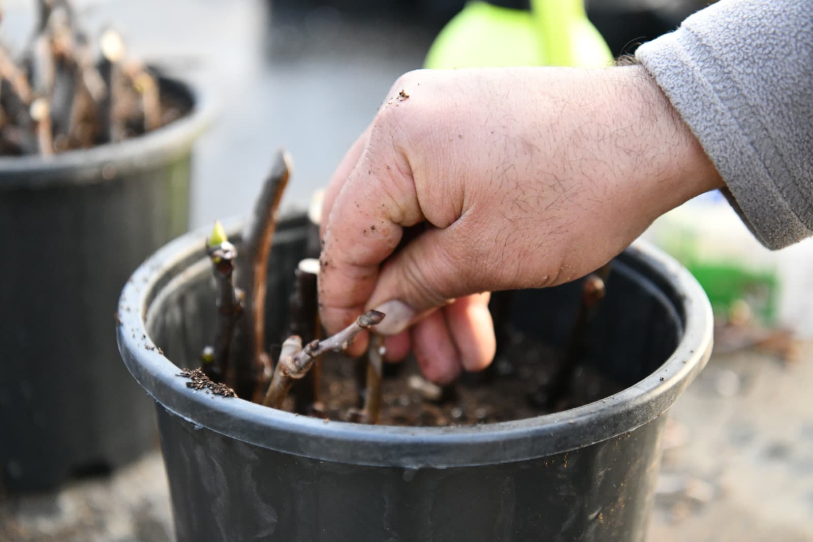 Çalışma Fotoğrafı 9